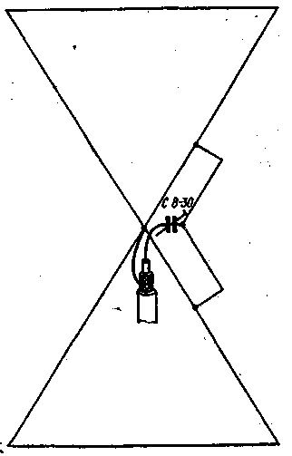 ant-8737.gif